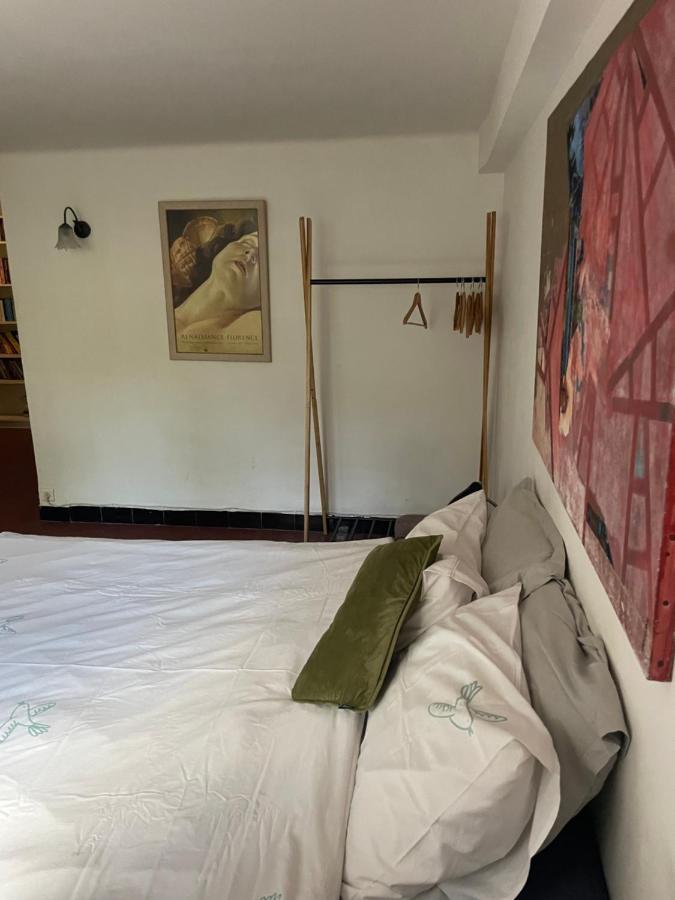 Villa Tricia カンヌ エクステリア 写真