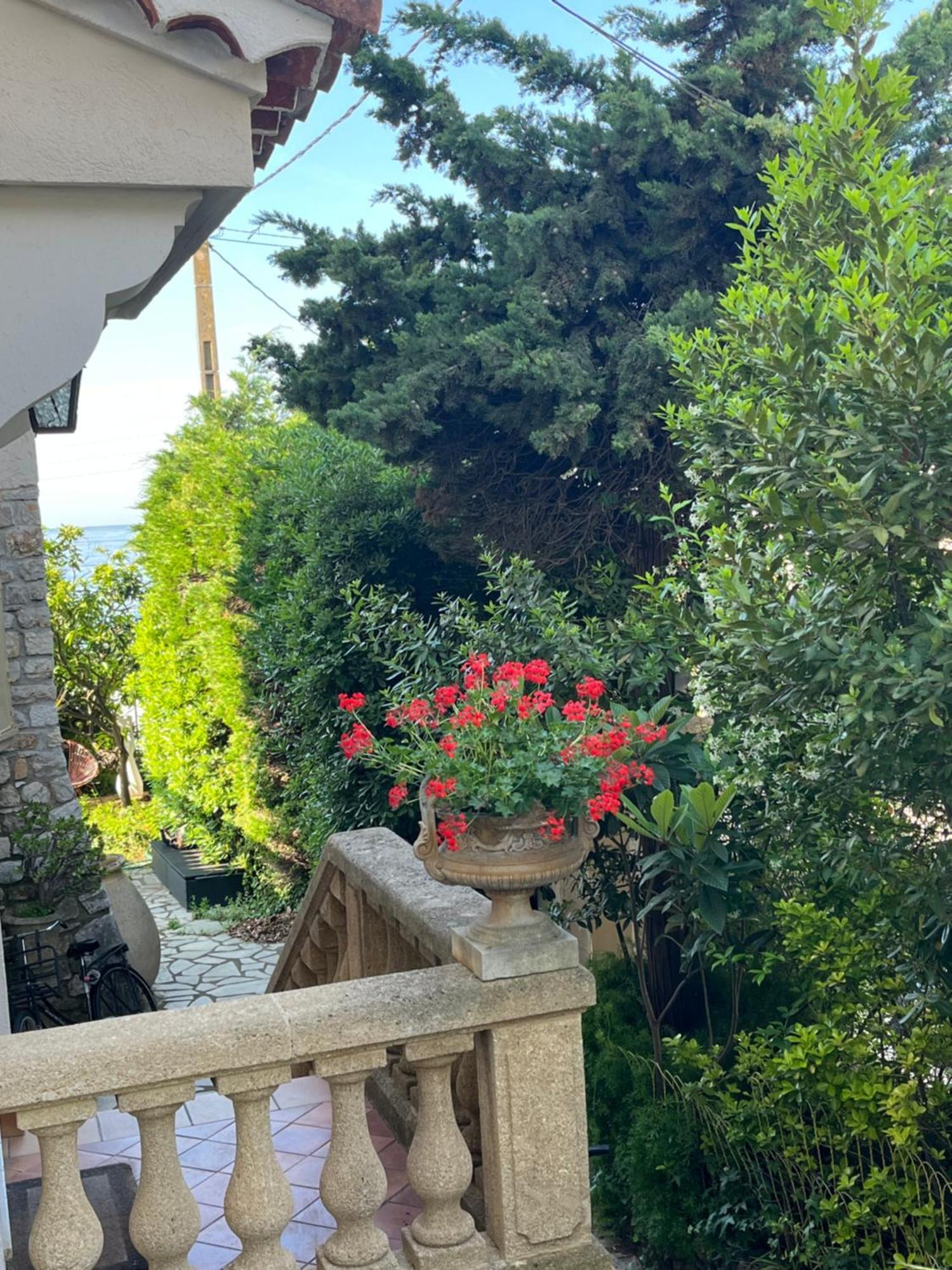 Villa Tricia カンヌ エクステリア 写真